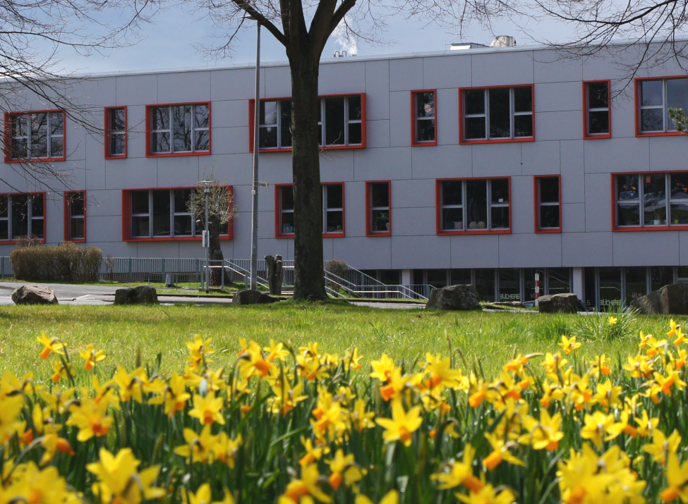 Beispielbild. Hier, die Wilhelm Leuschner Gesamtschule. Kurz WLS.