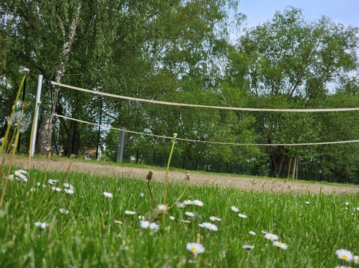 Der schöne Volleyballplatz mitten auf der grünen Wiese, im Schatten der Bäume.