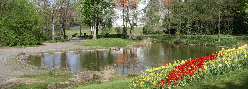 Der kleine Teich mit bunter Blumenwiese