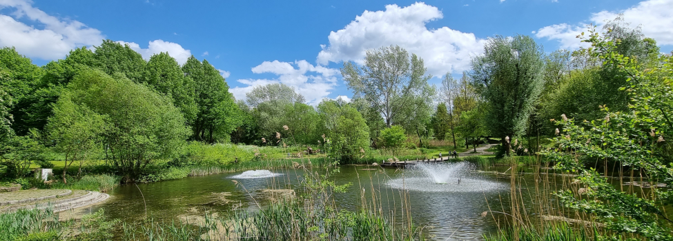 Ausblick auf den oberen Ententeich im Park Heiligenrode. Ausblick auf den oberen Ententeich im Park Heiligenrode.