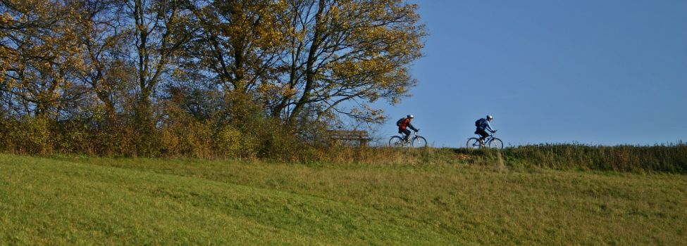 Fahrradfahrer unterwegs in der Natur Nordhessens