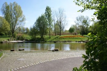 Kleiner Teich Panorama