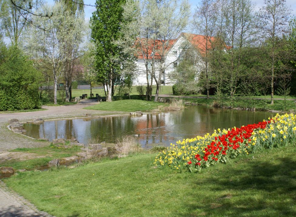 Der kleine Teich mit bunter Blumenwiese