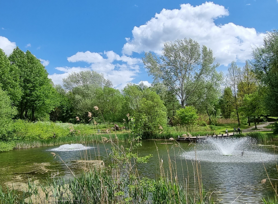 Der große Teich mit Wasserfontänen, einem Holzsteg und blauem Himmel.