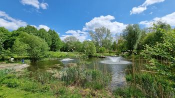 Der große Teich mit Wasseraufsprudler