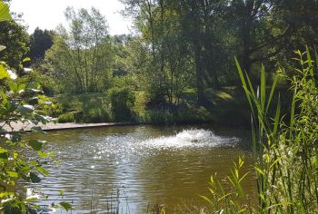 Der kleine Teich mit Wassersprudlern