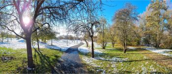 Die Streuobstwiesen an der Schwelle zum Winter.