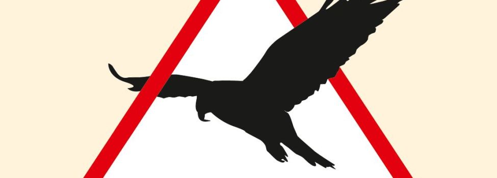 Beispielbild eines Greifvogels.