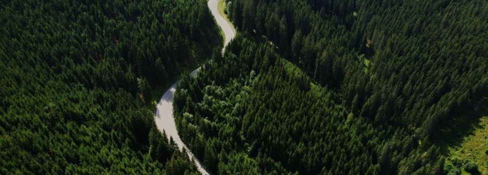 Beispielbild Waldstraße.