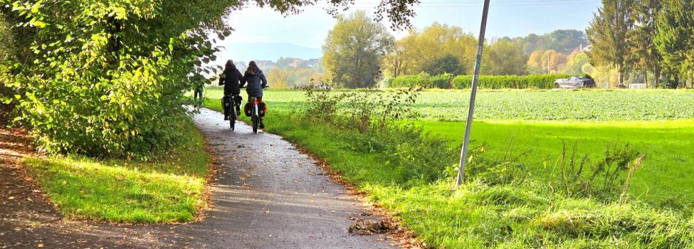 Die frisch sanierte Fuß- und Fahrradstrecke parallel zur Spiekershäuser Str. ist eine beliebte Ausflugsstrecke. 