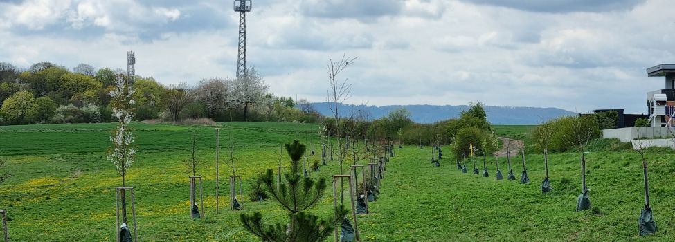 Der Bauhof macht die Gemeinde fit für den Frühling