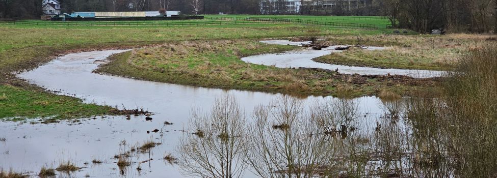 Links die Flutmulde und die Retentionsfläche, rechts der neue Arm der Nieste östlich der A7
