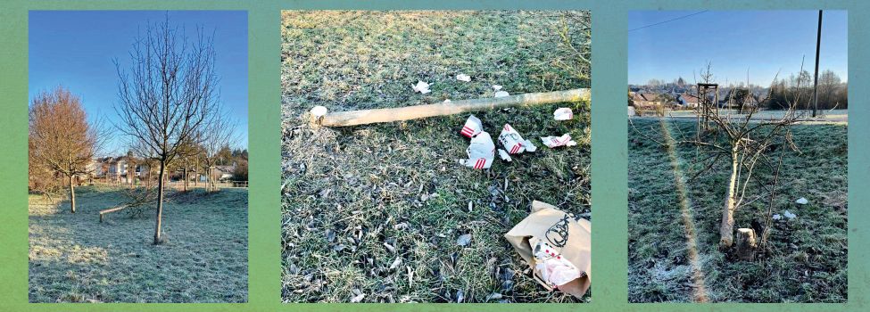 9 Bäume wurden im Park Heiligenrode mutwillig zerstört.