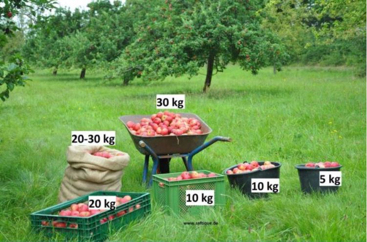Ein Eimer sind ca. 5 kg, ein Korb liegt zwischen 10 und 20 kg, ein Sack fasst um die 30 kg und eine Schubkarre 30 kg und mehr.