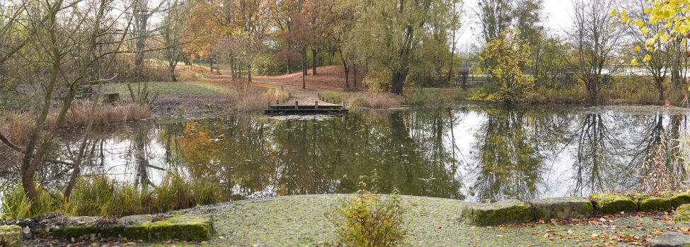 Der große Teich im Herbst 2025.