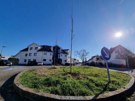 Auch die Verkehrsinsel an der Elisabeth-Selbert-Straße in Sandershausen wurde ausgestattet.