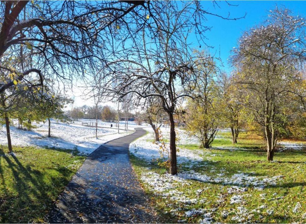 Winterpanorama im Park in Heiligenrode bei den Streuobstwiesen.