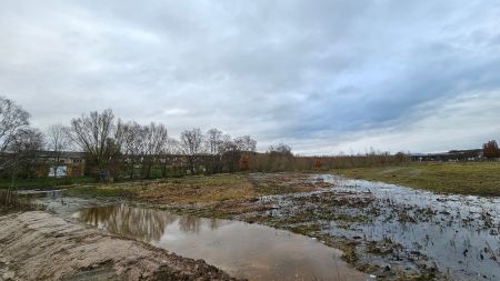 Die neu angelegte Flutmulde zur Rückführung der überschwemmten Flächen auf Höhe des Biberdamms