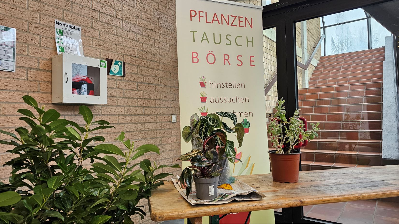 Die Pflanzentauschbörse in Eigenregie hat sich wieder einiger Beliebtheit erfreut.