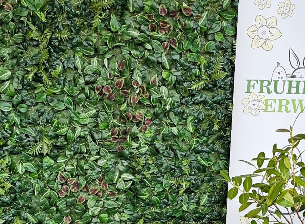 Kommt vorbei am 28. und 29. März ab 12 Uhr.