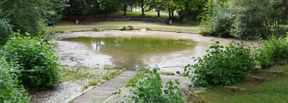 Der untere Teich am Rondell im Park Heiligenrode wird derzeit sauber gemacht und abgepumpt.