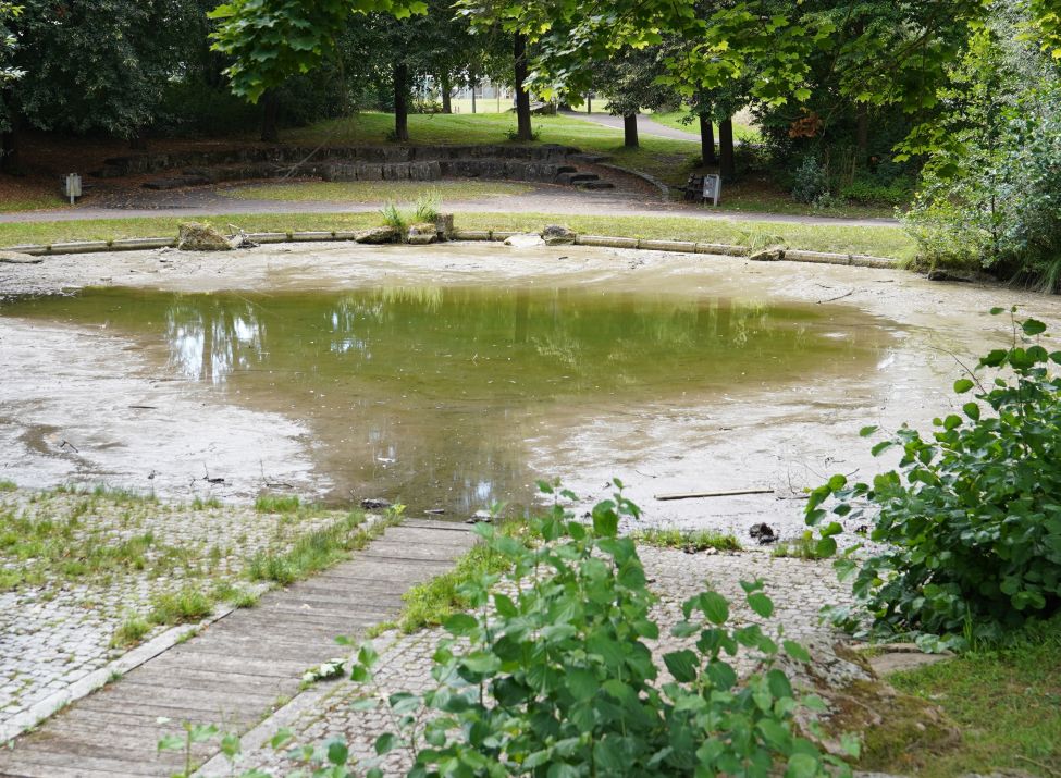 Der untere Teich am Rondell im Park Heiligenrode wird derzeit sauber gemacht und abgepumpt.