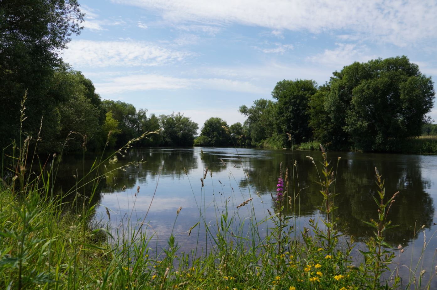 Die Studie sieht in diesem Bereich zwischen Kassel‐Wolfsanger und Niestetal‐Sandershausen einen idealen Standort für eine Brücke. Hier auf Niestetaler Seite, Höhe Mühlenweg.