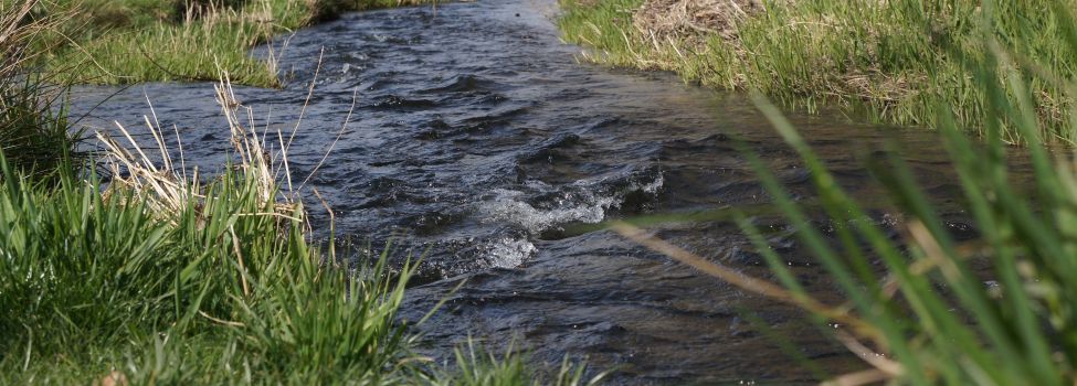 Beispielbild aus dem Winter: Aus Nieste, Umbach bzw. Haare, Losse und allen Seen darf bis Oktober kein Wasser mehr entnommen werden.