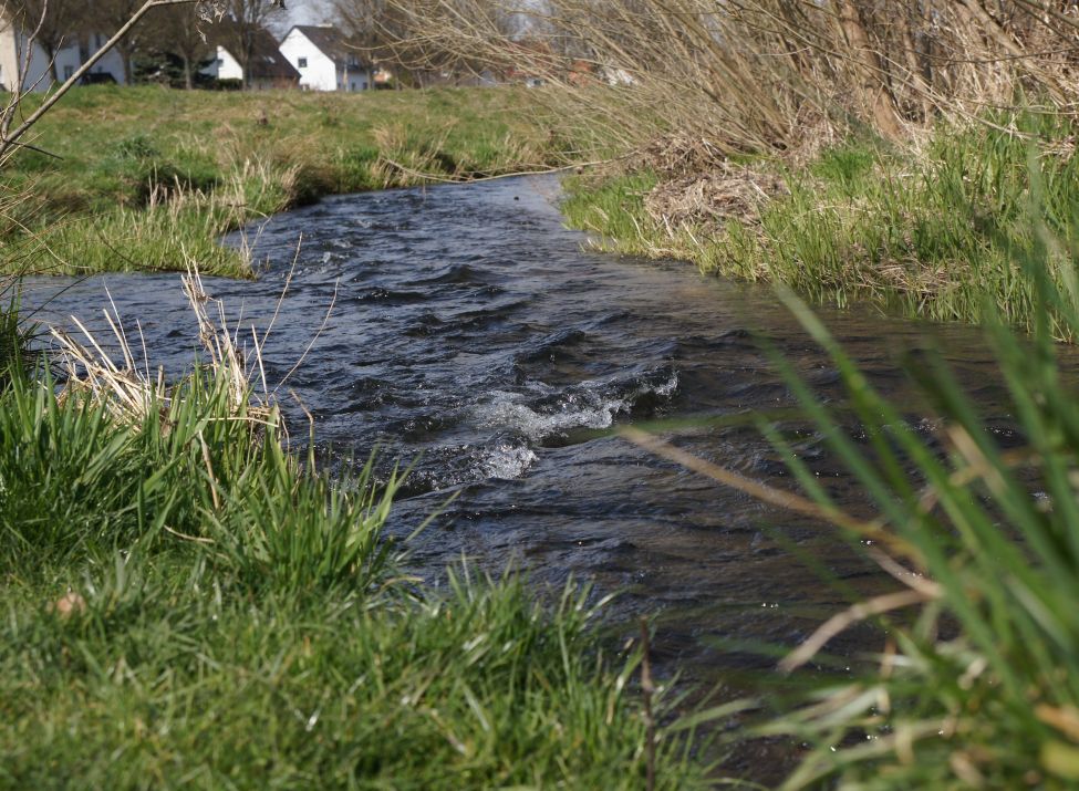 Beispielbild aus dem Winter: Aus Nieste, Umbach bzw. Haare, Losse und allen Seen darf bis Oktober kein Wasser mehr entnommen werden.