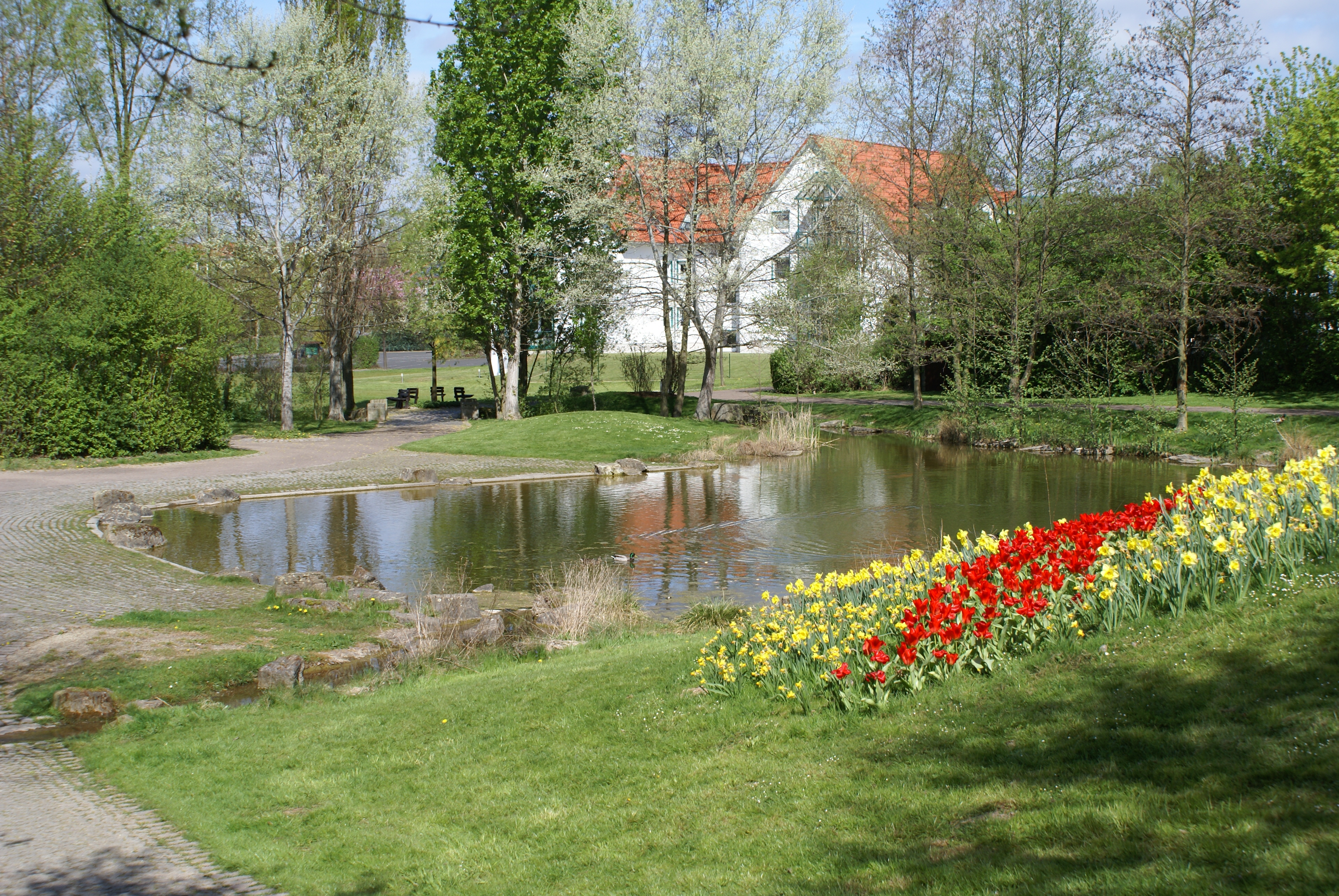 Der kleine Teich mit bunter Blumenwiese
