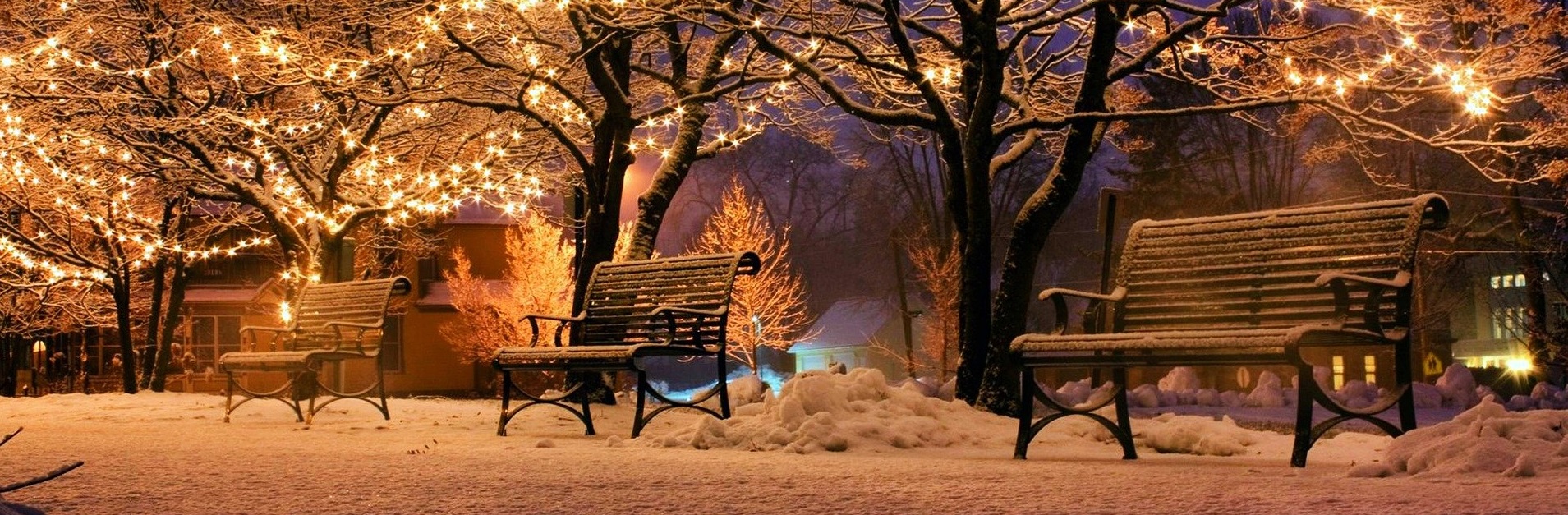 Winterliche Szene mit Bänken und Lichterketten im Park.